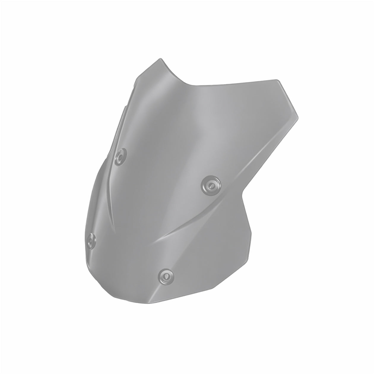 M 1000 XR Windscherm getint